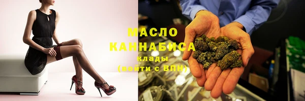 крисы Няндома