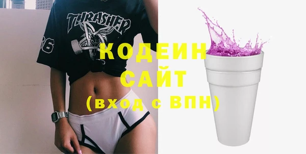 крисы Няндома