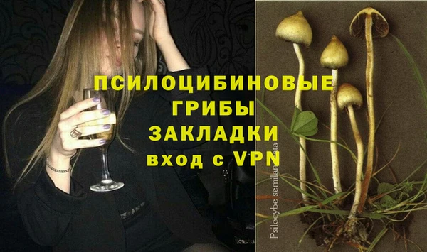 Альфа ПВП Вязники