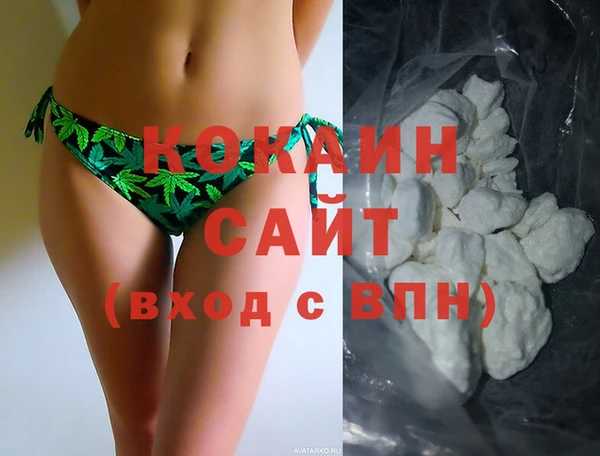 PSILOCYBIN Галич