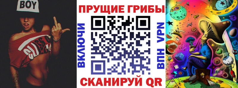 Псилоцибиновые грибы Cubensis  где можно купить   Опочка 